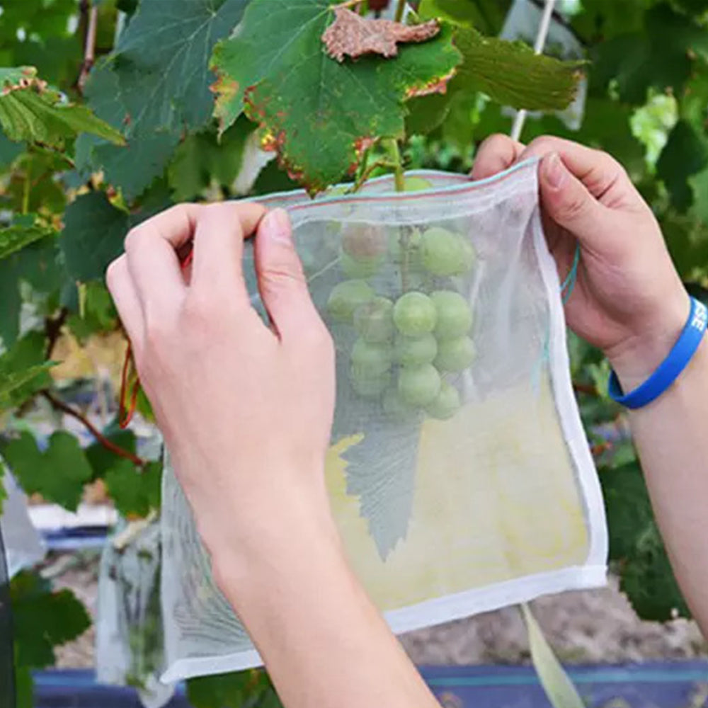 10Pcs 10x15cm Garden Protect Netting Bag