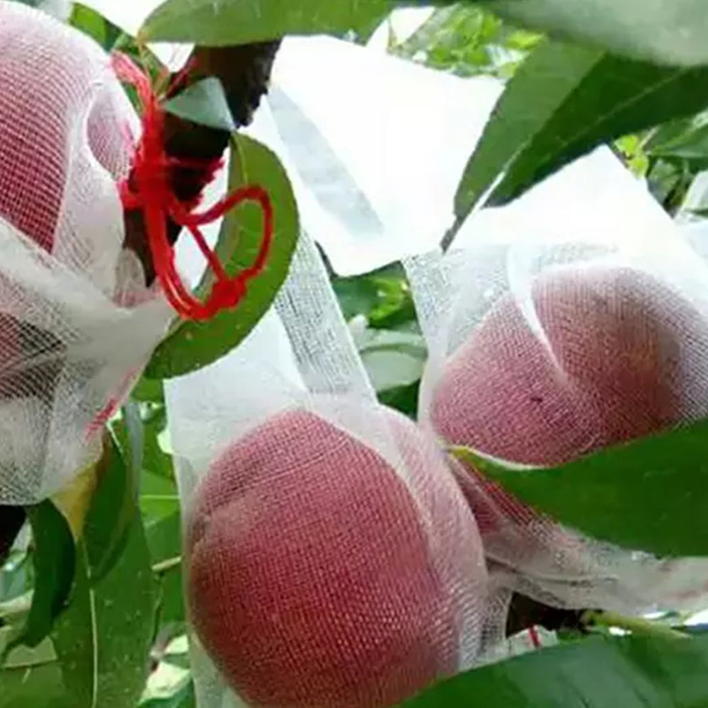 20Pcs 25x35cm Garden Protect Netting Bag