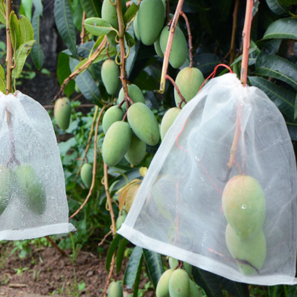 10Pcs 35x55cm Garden Protect Netting Bag