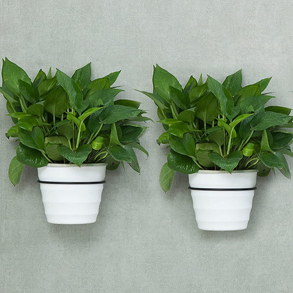 2 X 10cm Wall Mounted Plant Pot Loop Hanging Flower Pot Holder Plant Rack