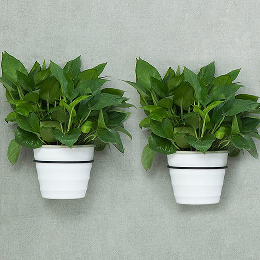 2 X 10cm Wall Mounted Plant Pot Loop Hanging Flower Pot Holder Plant Rack