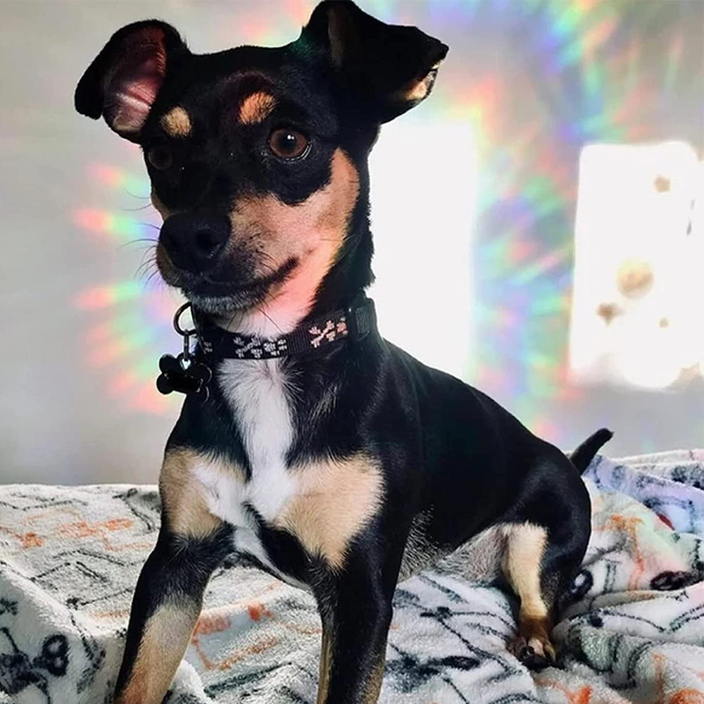 2 Sets Suncatcher Window Sticker Window Clings Static Decal