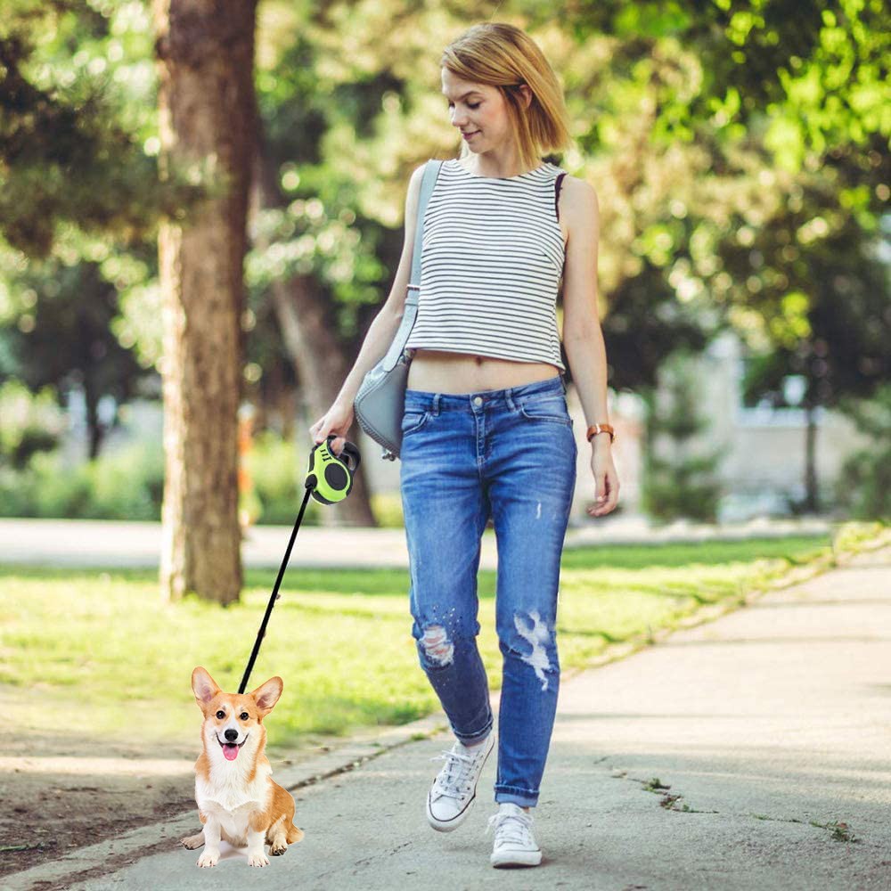 5m Retractable Nylon Dog Training Leash with Folding Bowl Waste Bag Dispenser Green