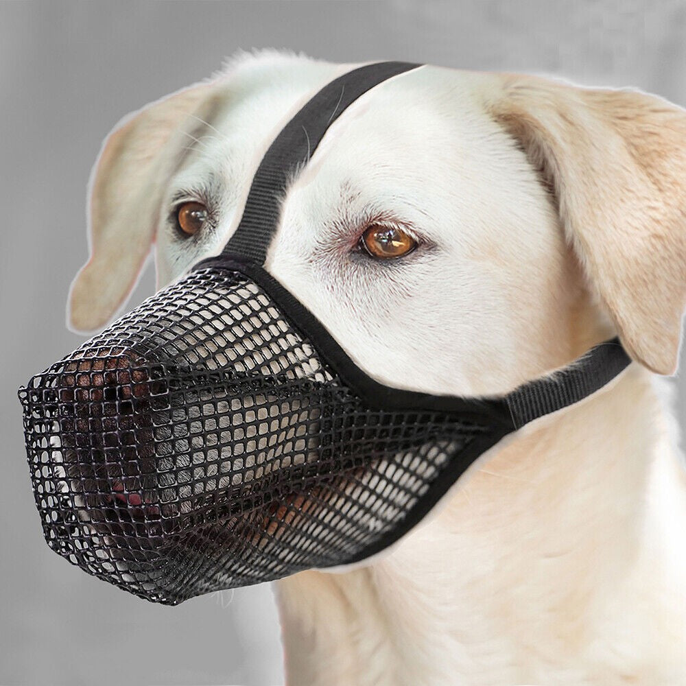 Pet Dog Muzzle Adjustable Mesh Covered Muzzles Breathable Pet Muzzle S Size