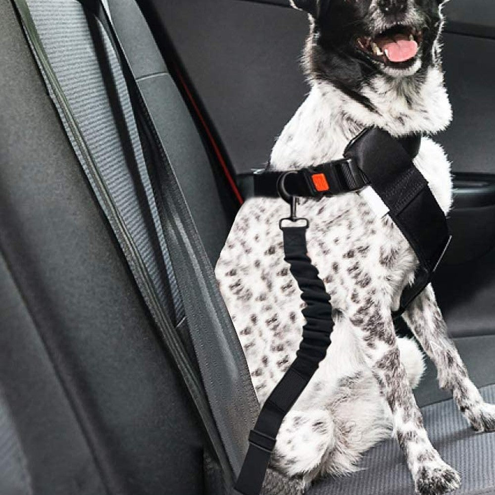 2Pcs Black Retractable Dog Car Seatbelts and Foldable Bowl Set Adjustable Pet Safety Seat Belt