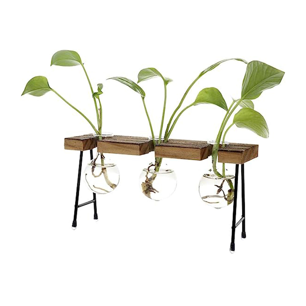 Glass Terrarium Vase Hydroponic Plants Planter Terrarium Container Wooden Stand