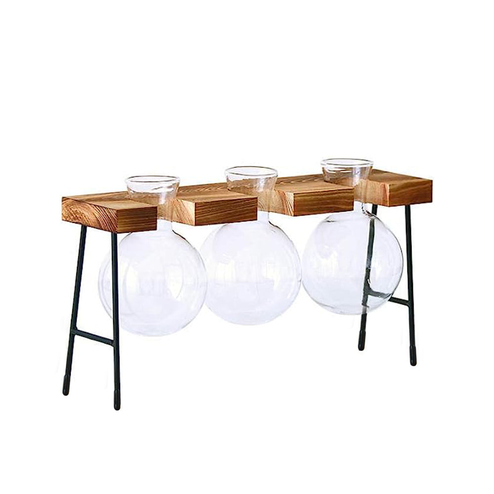 Glass Terrarium Vase Hydroponic Plants Planter Terrarium Container Wooden Stand