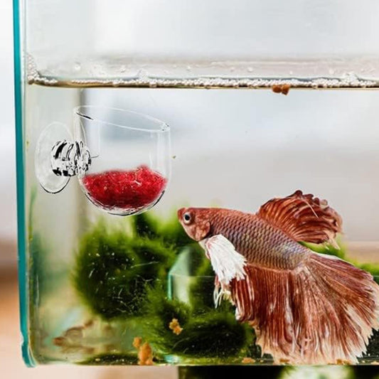 6Pcs Aquarium Red Worm Fish Feeder Acrylic Aquatic Plant Cups with Suction Cups