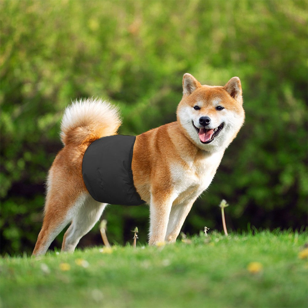 2Pcs Washable Male Dog Diapers Reusable Puppy Belly Wrap Diaper Band Black M