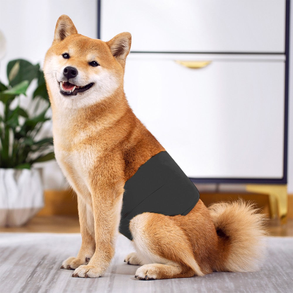 2Pcs Washable Male Dog Diapers Reusable Puppy Belly Wrap Diaper Band Black S