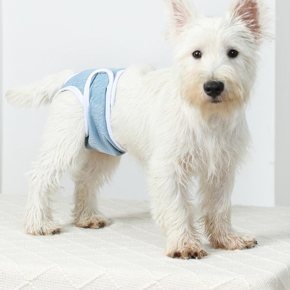 2Pcs Reusable Female Dog Nappy Diapers Hygiene Pants Sanitary Pants - Blue XL