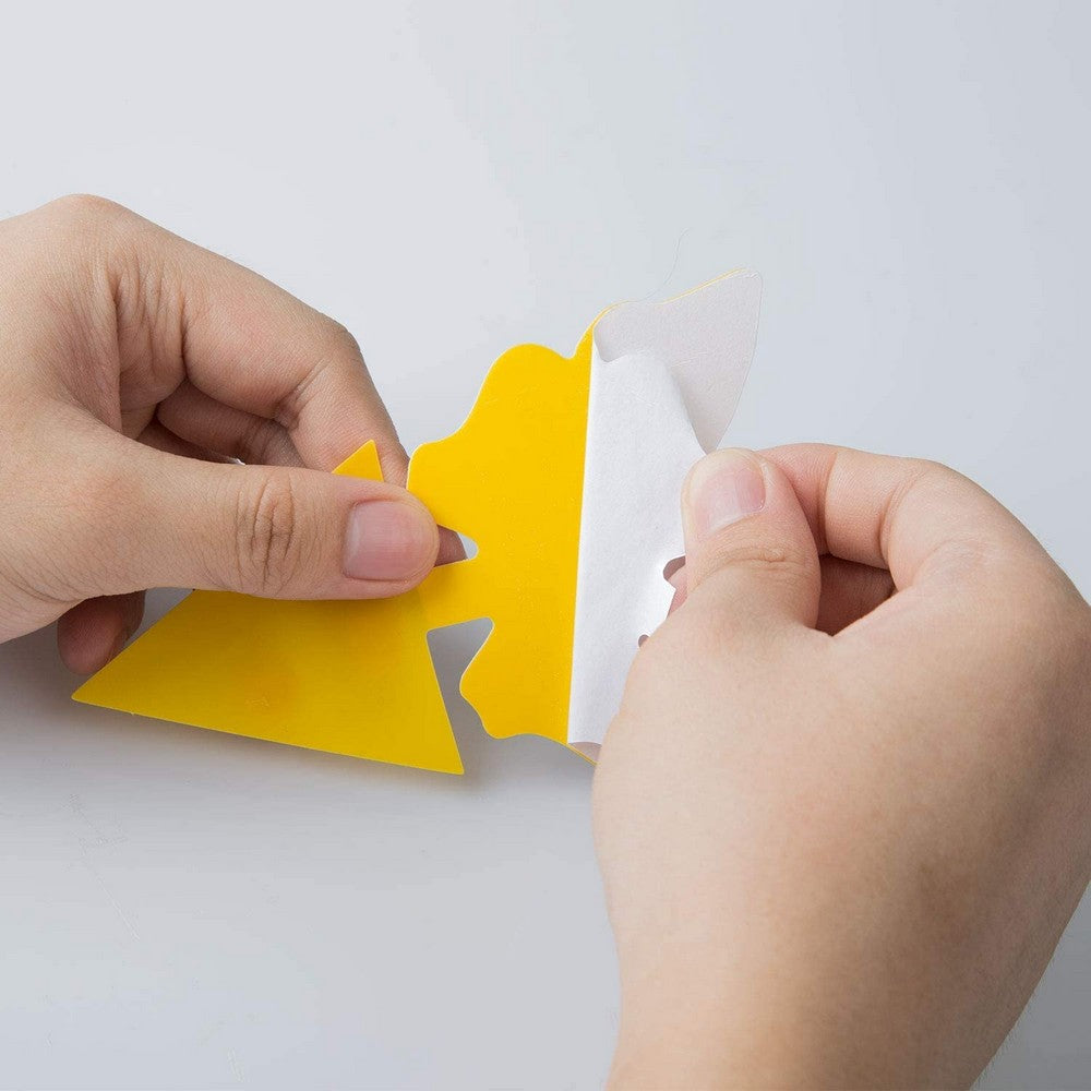 20PCS Sticky Fruit Fly Trap Bug Killers for Plant Style 1 Style 2