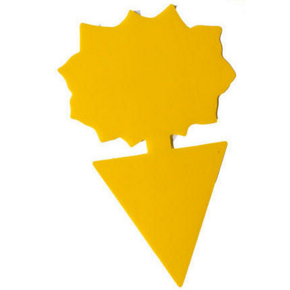 20PCS Sticky Fruit Fly Trap Bug Killers for Plant