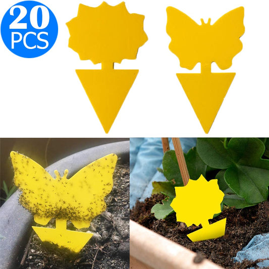 20PCS Sticky Fruit Fly Trap Bug Killers for Plant