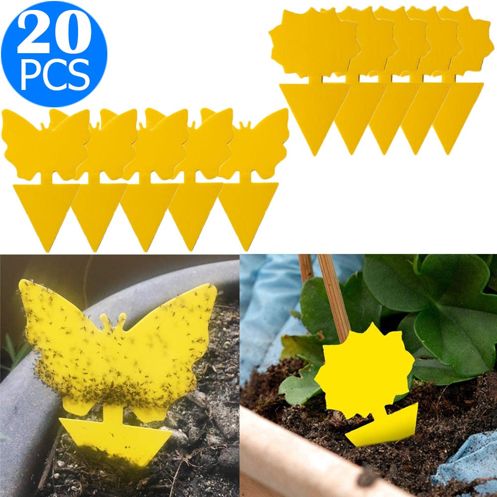 20PCS Sticky Fruit Fly Trap Bug Killers for Plant Style 1 Style 2