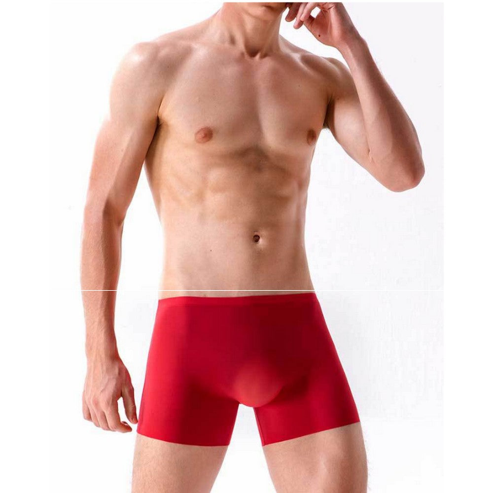5 Pack Men Summer Breathable See Through Underwear Traceless Boxer Briefs 2XL