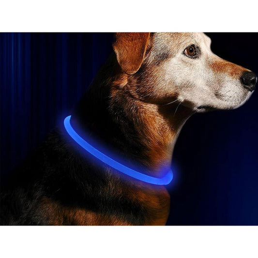 USB Rechargeable 3 Modes Glowing Pet Collars Safety Visibility at Night for Dog Blue