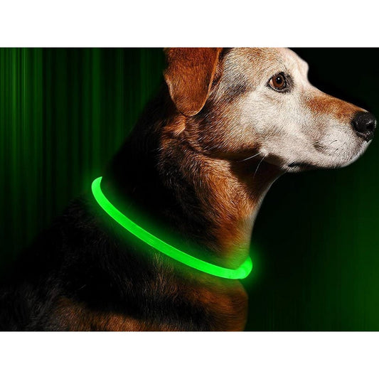 USB Rechargeable 3 Modes Glowing Pet Collars Safety Visibility at Night for Dog Green