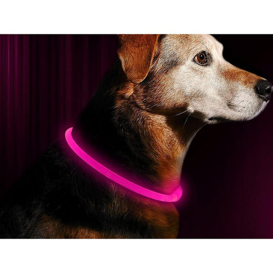 USB Rechargeable 3 Modes Glowing Pet Collars Safety Visibility at Night for Dog Pink