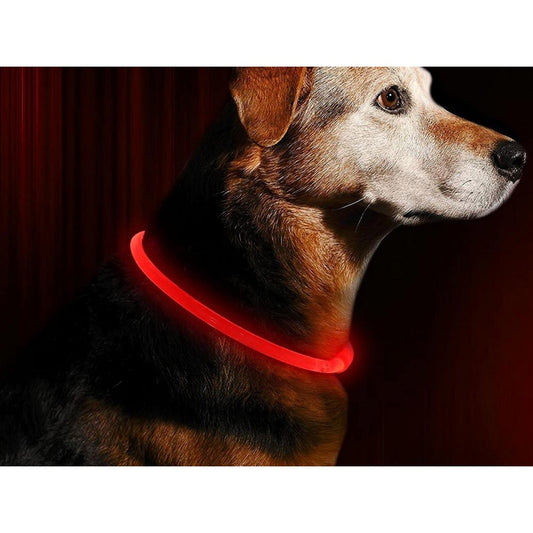 USB Rechargeable 3 Modes Glowing Pet Collars Safety Visibility at Night for Dog Red