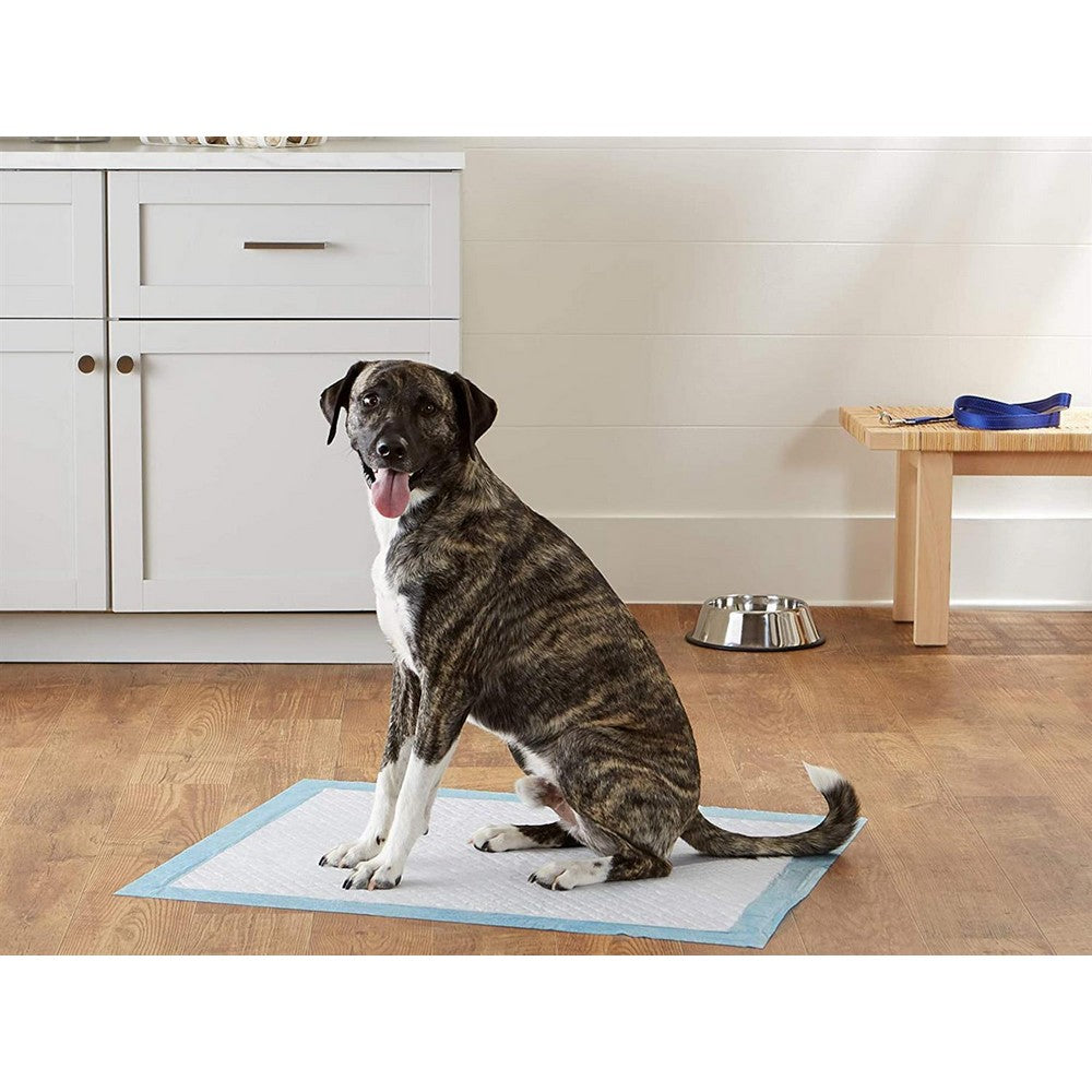 40PCS 60x60cm Absorbent Puppy Dog Pet Training Pads Cat Indoor Toilet Mats