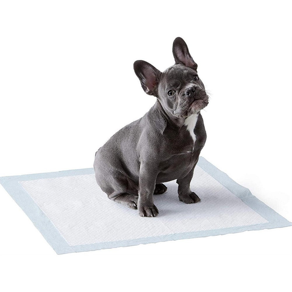 40PCS 60x60cm Absorbent Puppy Dog Pet Training Pads Cat Indoor Toilet Mats