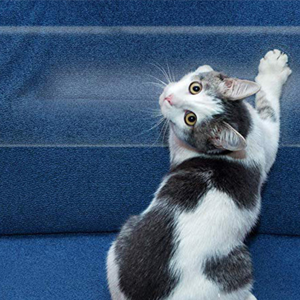 10M x 6.35CM Cat Anti Scratch Tape Furniture Protectors Couch Tape Door Tape Cat Scratch Tape Roll