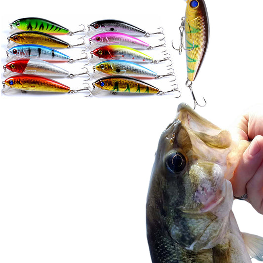 2 X 10pcs Fishing Lures Baits Set Bionic Minnow Fishing Bait with Box