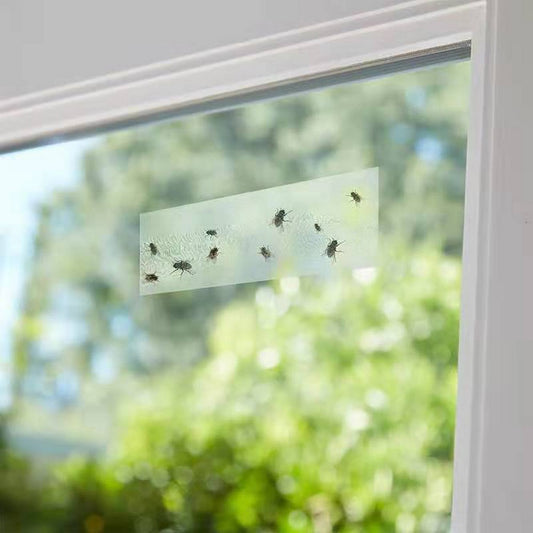 40 Sheets Clear Window Fly Trap Sticker Insect Trap Sticky Bug Catchers