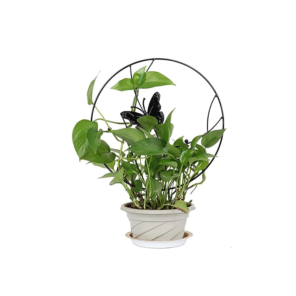 4 X Potted Plant Trellis Climbing Vine Plants Support Frame Home Decor