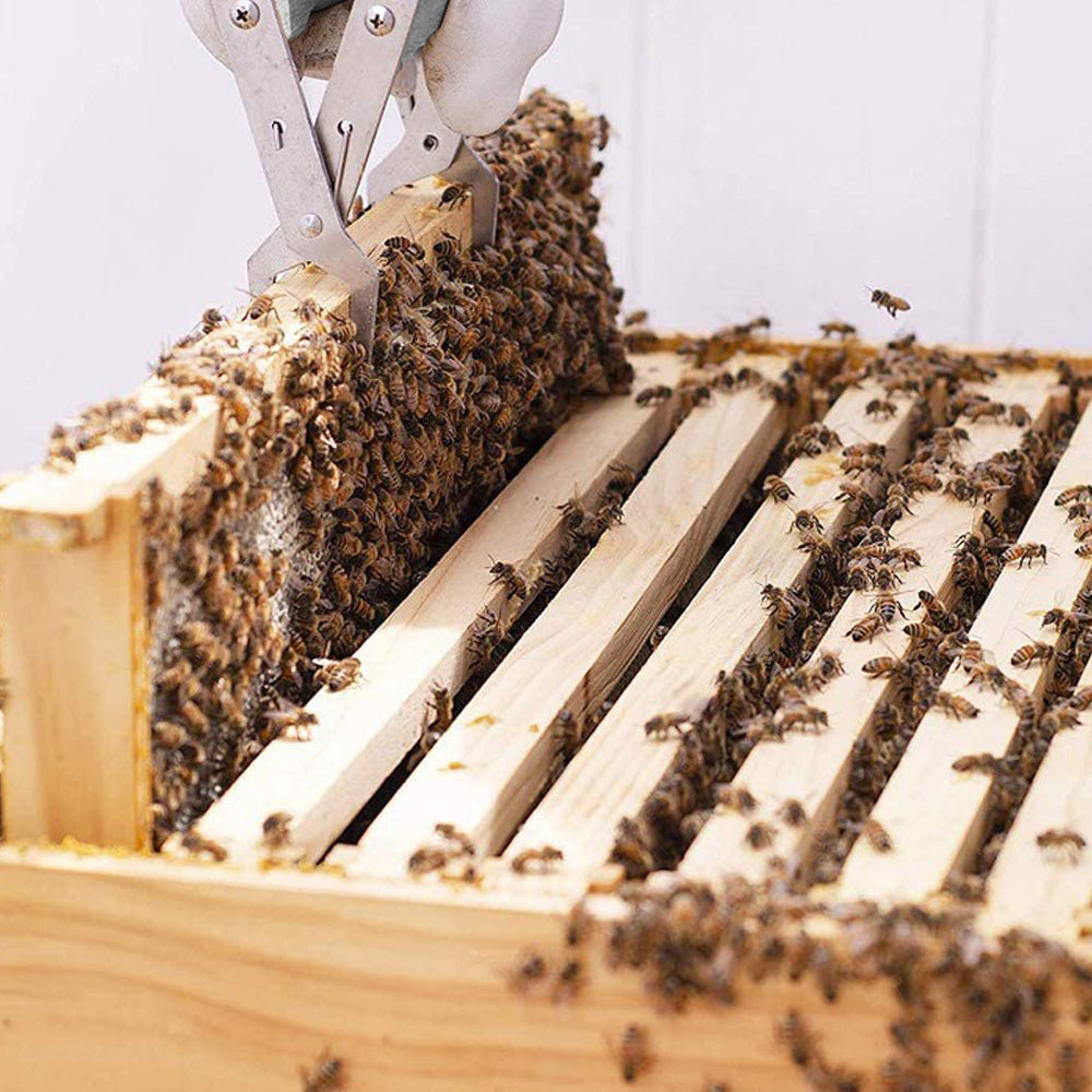 8PCS Beekeeping Supplies Tool Set Bee Smoker Brush Hive Scraper Frame Lifter