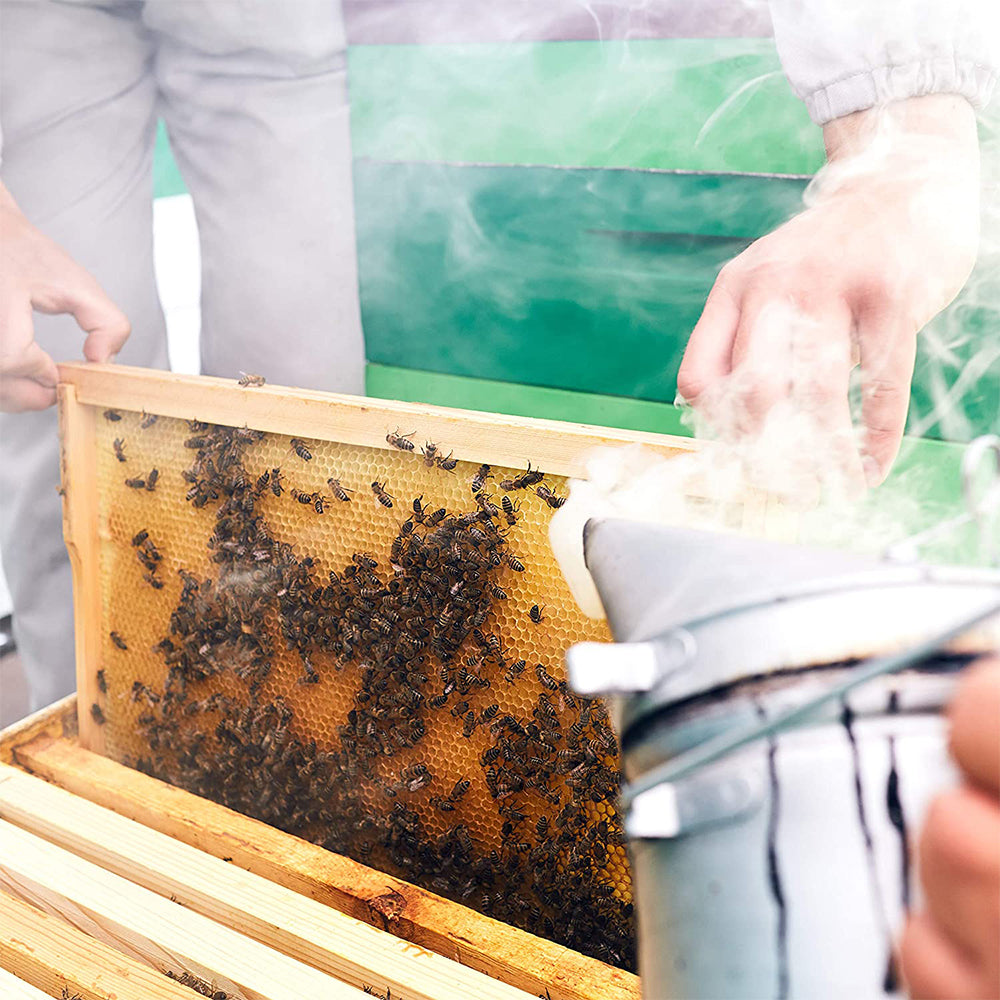 8PCS Beekeeping Supplies Tool Set Bee Smoker Brush Hive Scraper Frame Lifter