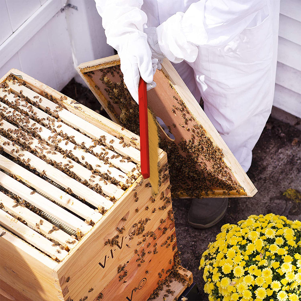 8PCS Beekeeping Supplies Tool Set Bee Smoker Brush Hive Scraper Frame Lifter