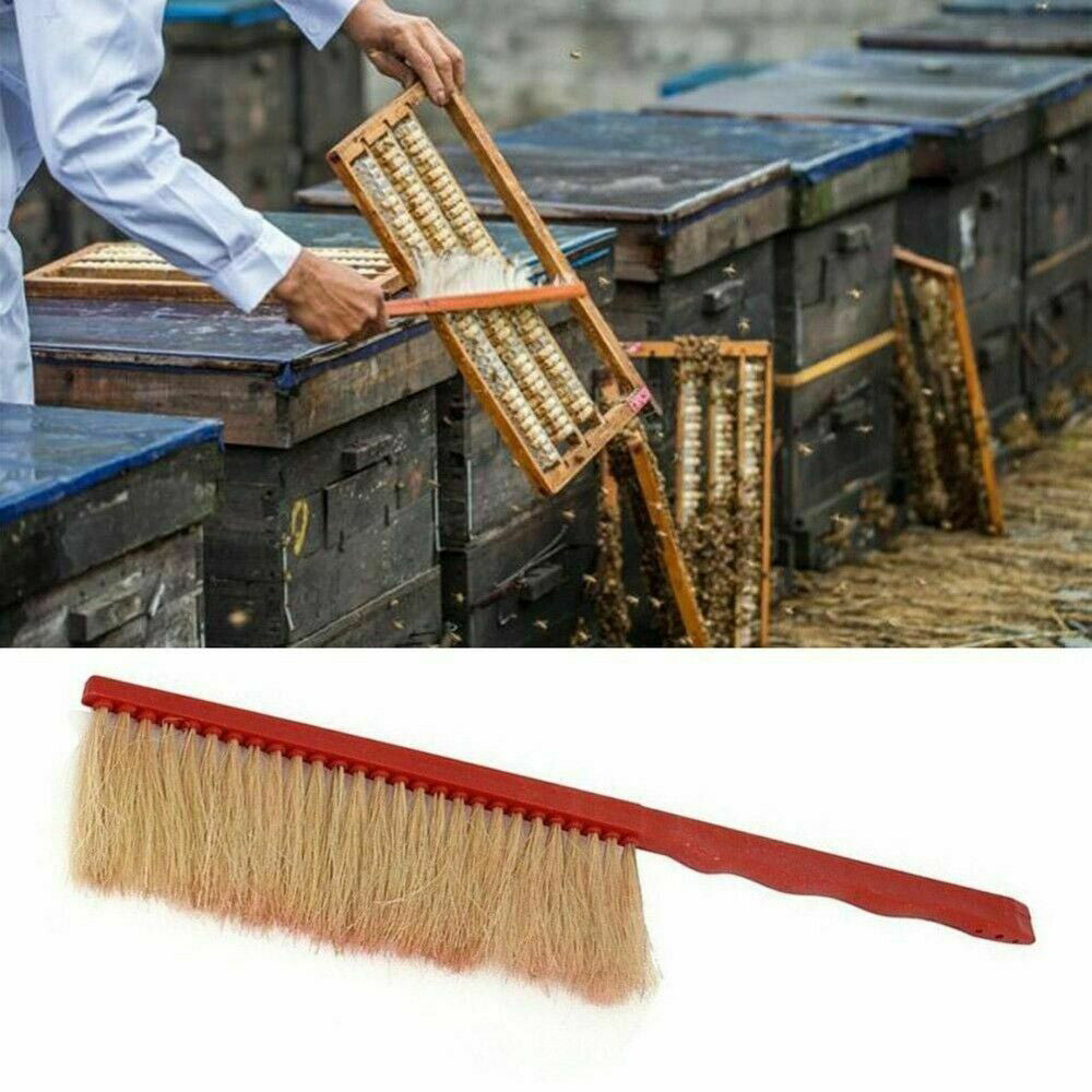 8PCS Beekeeping Supplies Tool Set Bee Smoker Brush Hive Scraper Frame Lifter