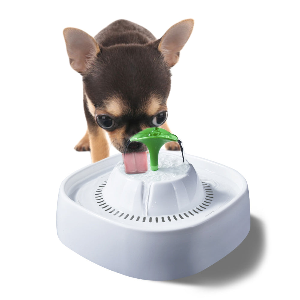 2X 1.3L USB Electric Automatic Pet Water Fountain Dog Cat Drinking Dispenser