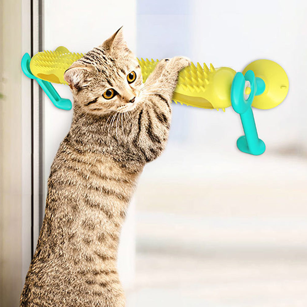 2X Interactive Tunnel Track Ball Kitten Toy Suction Cup Pet Toy