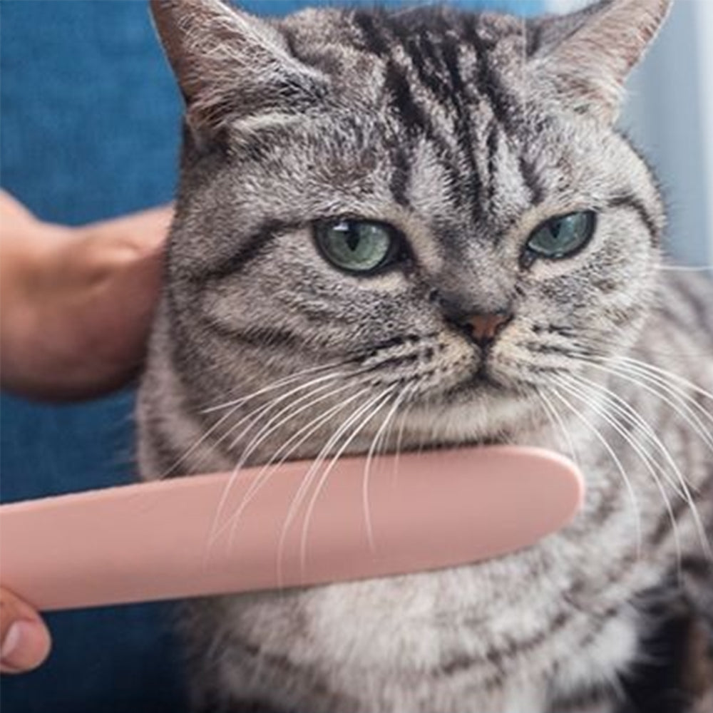 2Pcs Simulation Cat Tongue Comb Cat Hair Grooming Brush Pet Cat Petting Stick