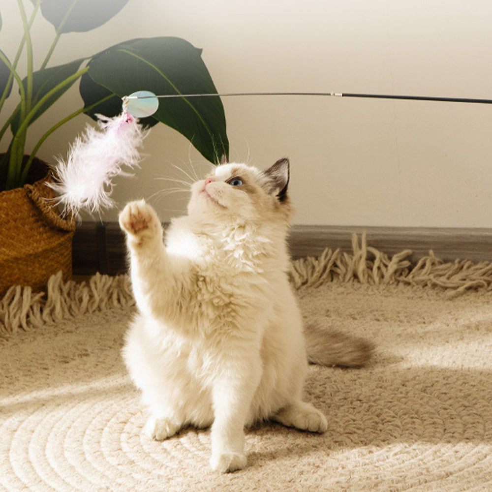 Retractable Cat Interactive Toy Fishing Pole Kitten Teaser Wand with 4 Heads