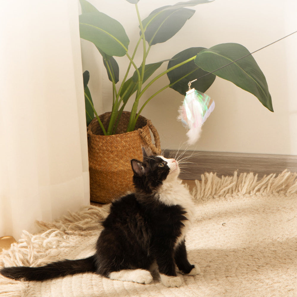 Retractable Cat Interactive Toy Fishing Pole Kitten Teaser Wand with 4 Heads