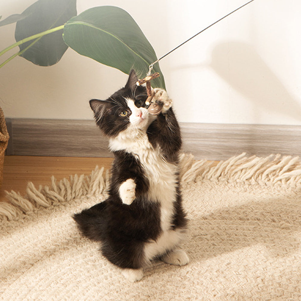 Retractable Cat Interactive Toy Fishing Pole Kitten Teaser Wand with 4 Heads
