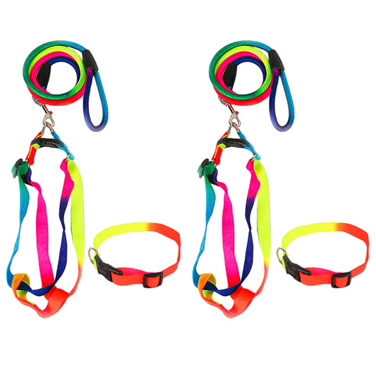 2X Pet Harness Pet Collar with Leash Set Dog Walking Vest for Cat Puppy Small