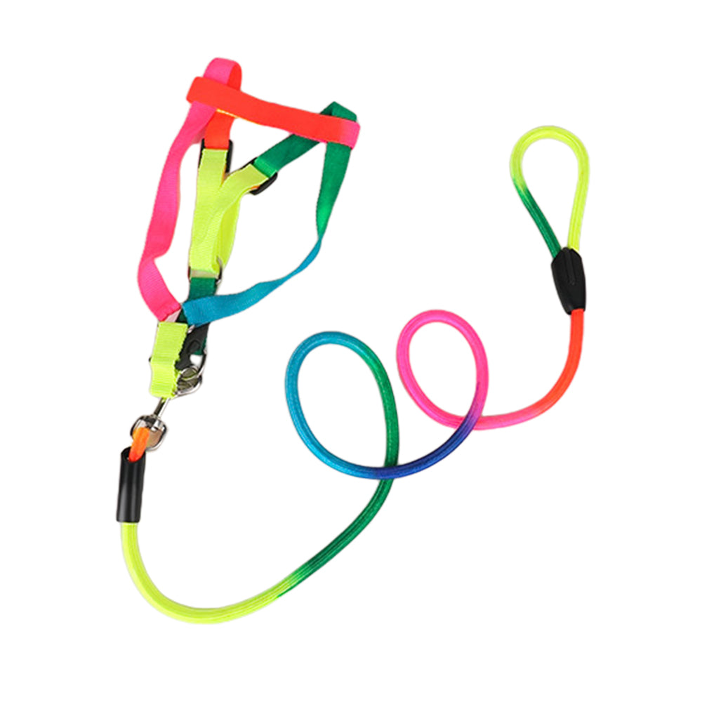 2X Pet Harness Pet Collar with Leash Set Dog Walking Vest for Cat Puppy Small