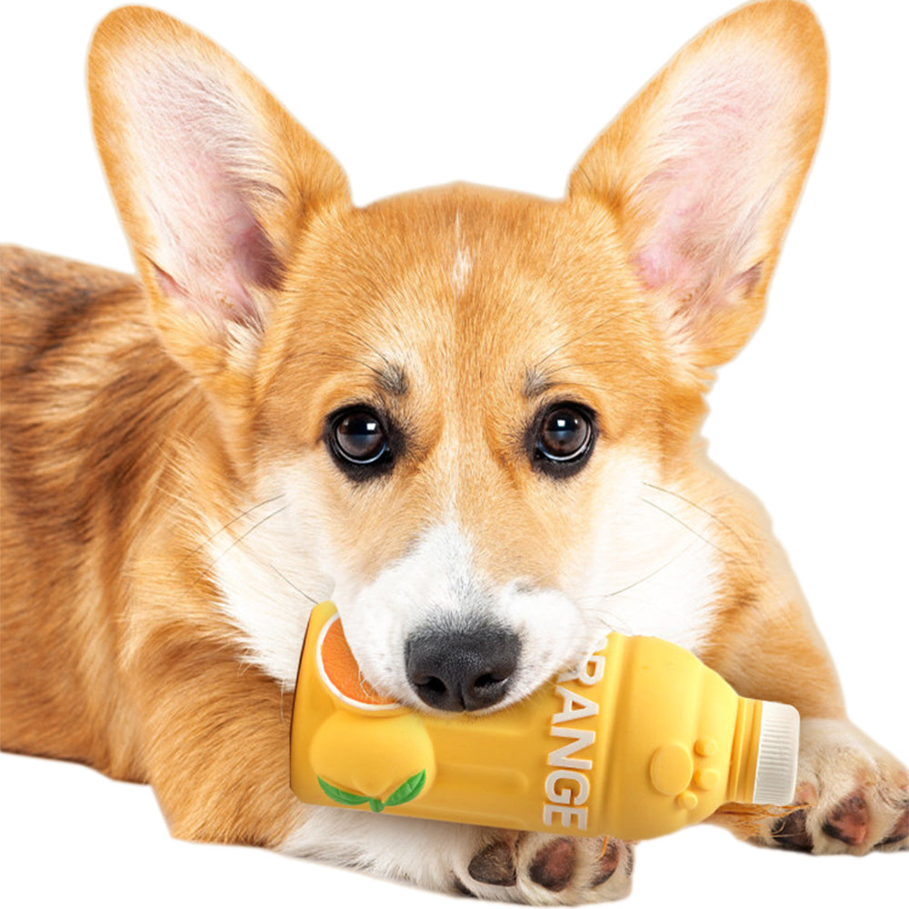 2Pcs Pet Juice Bottle Squeaky Toys Dog Chew Toys