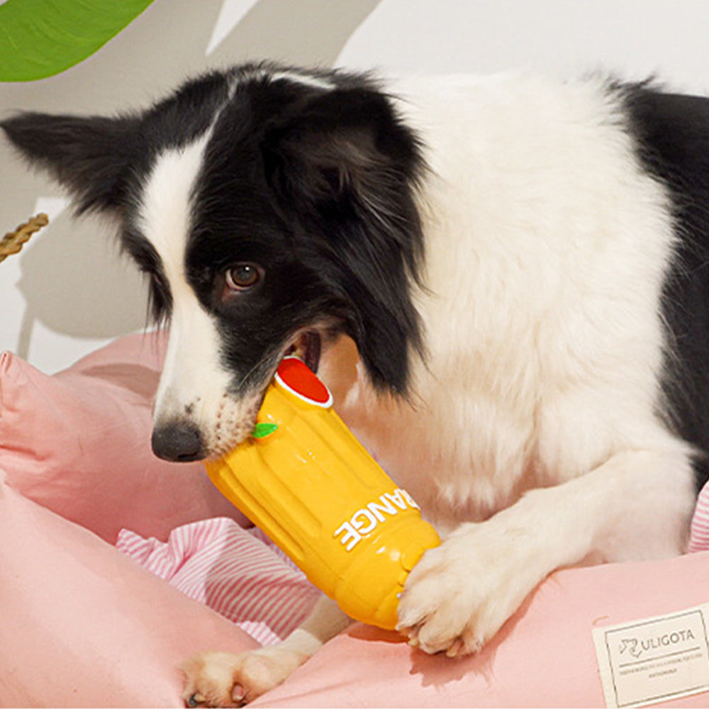 2Pcs Pet Juice Bottle Squeaky Toys Dog Chew Toys