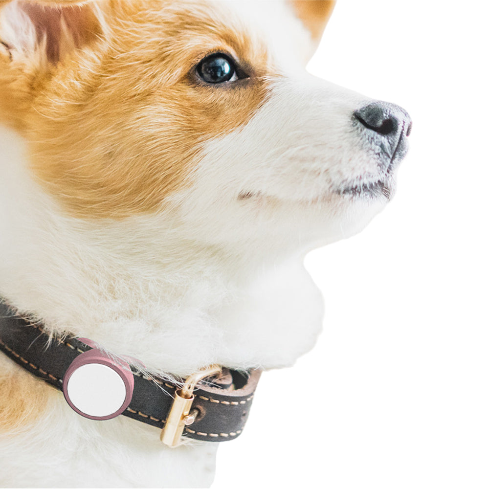 2X Silicone Tracker Protective Case for Pet Collar Compatible with Apple Airtag