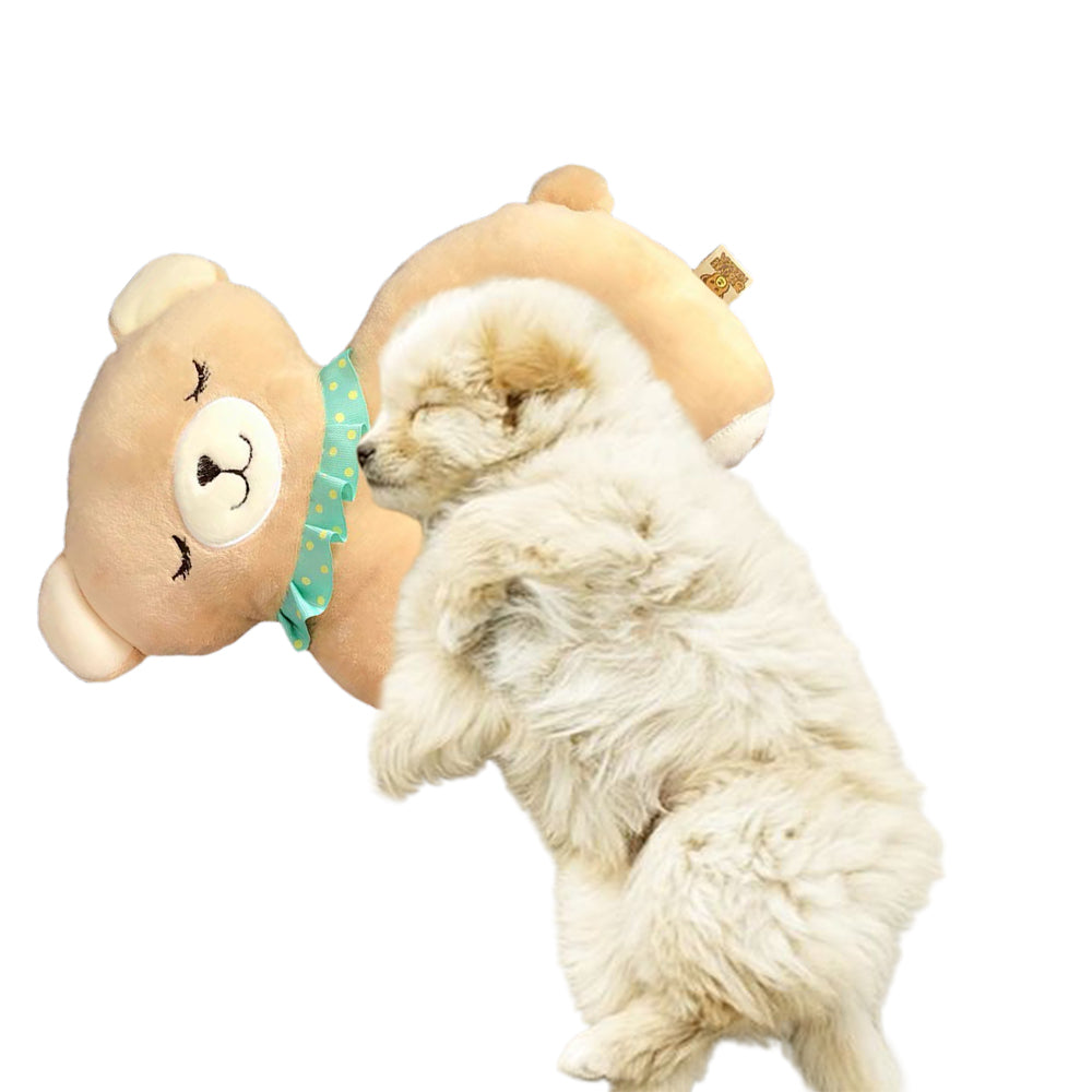 Pet Pillow Dog Sleeping Pillow Bear