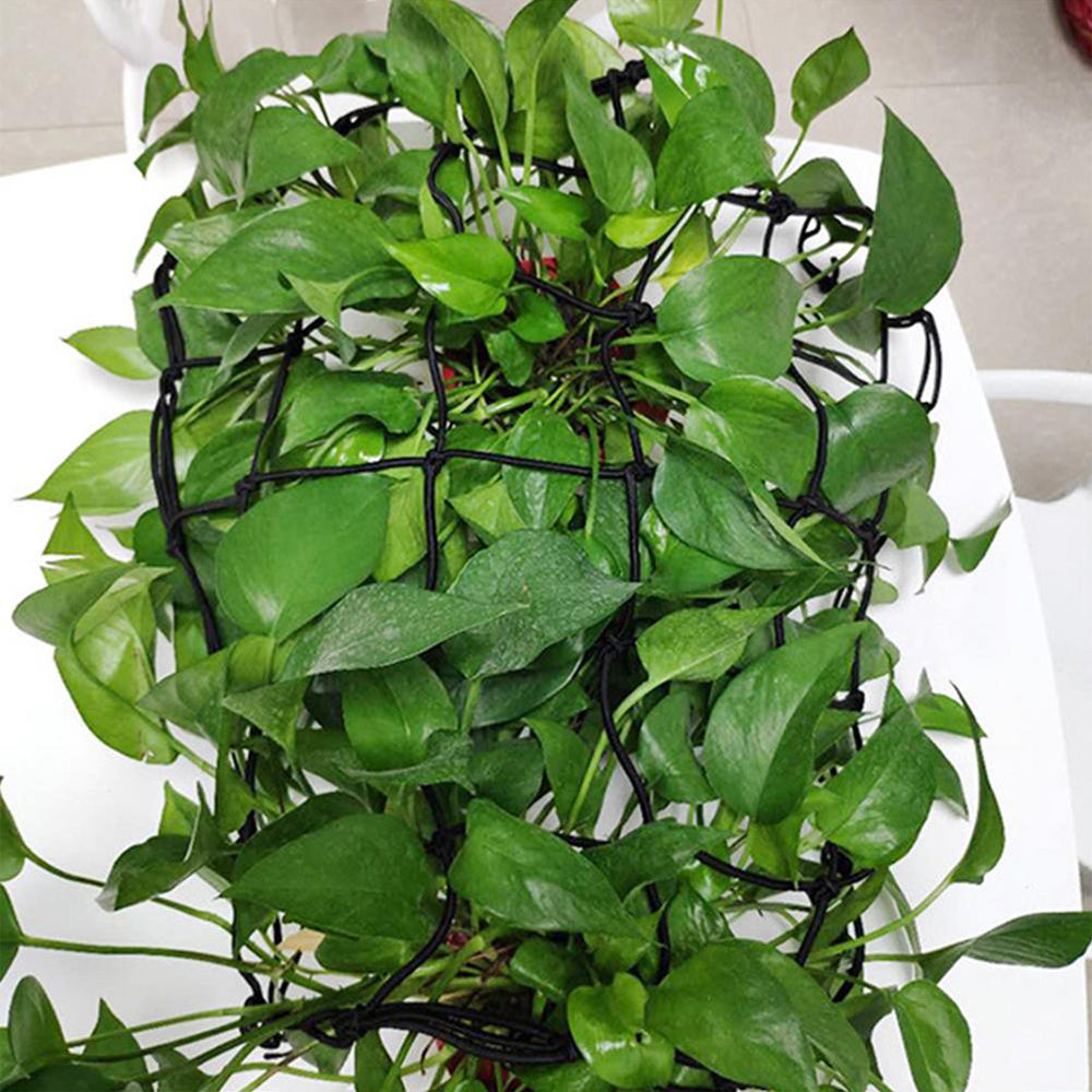 2Pcs 50x50cm Elasticated Grow Tent Trellis Net Scrog Net