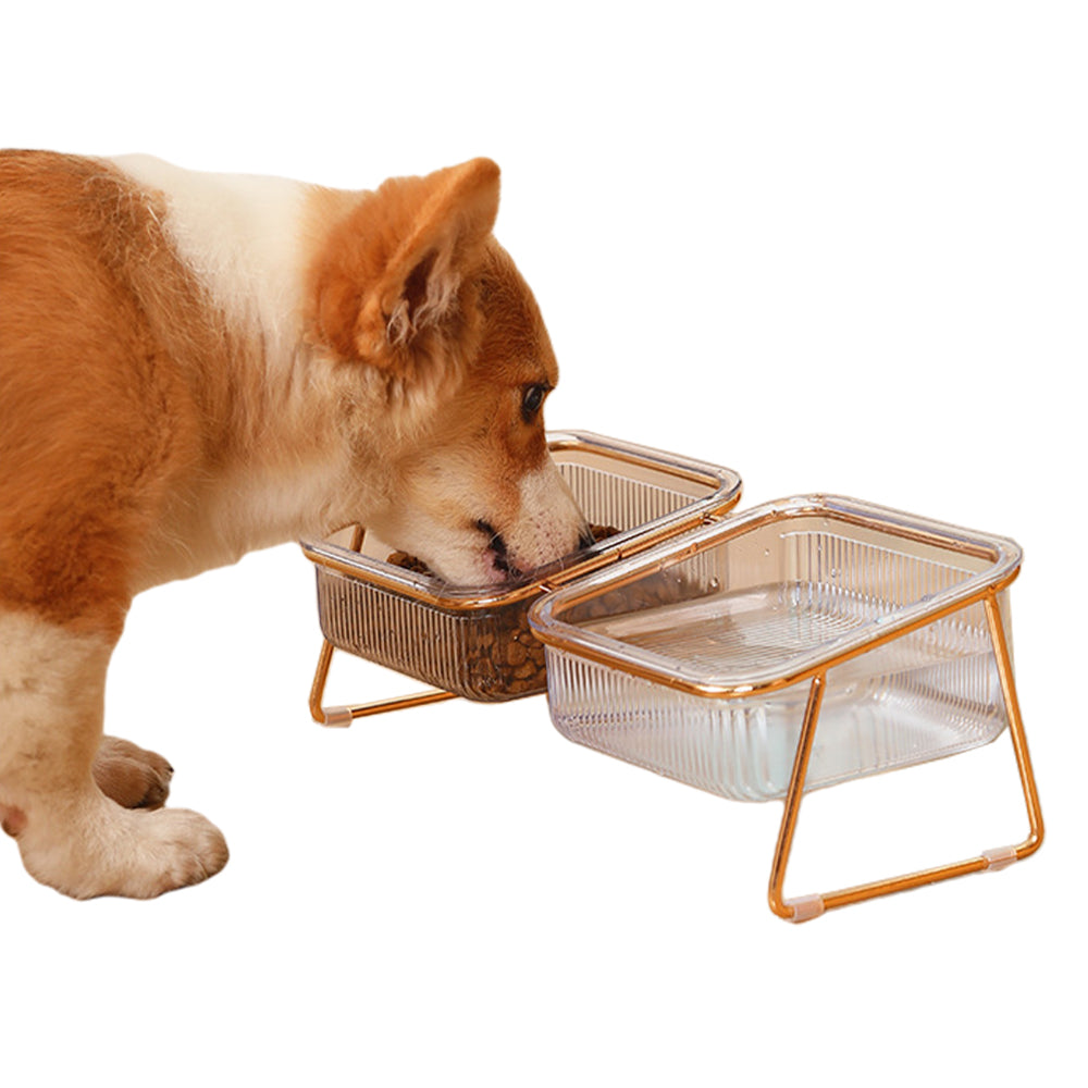 Pet Elevated Feeder Bowl Double Bowl