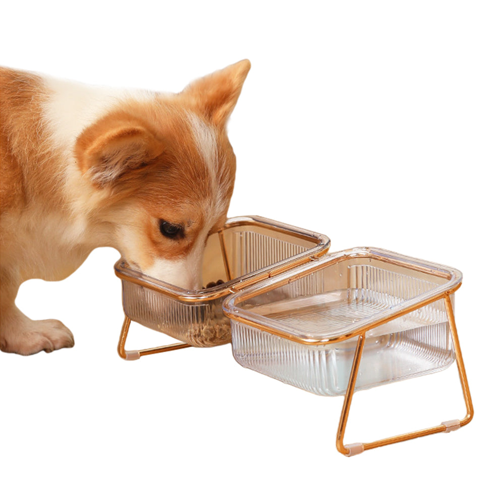 Pet Elevated Feeder Bowl Double Bowl