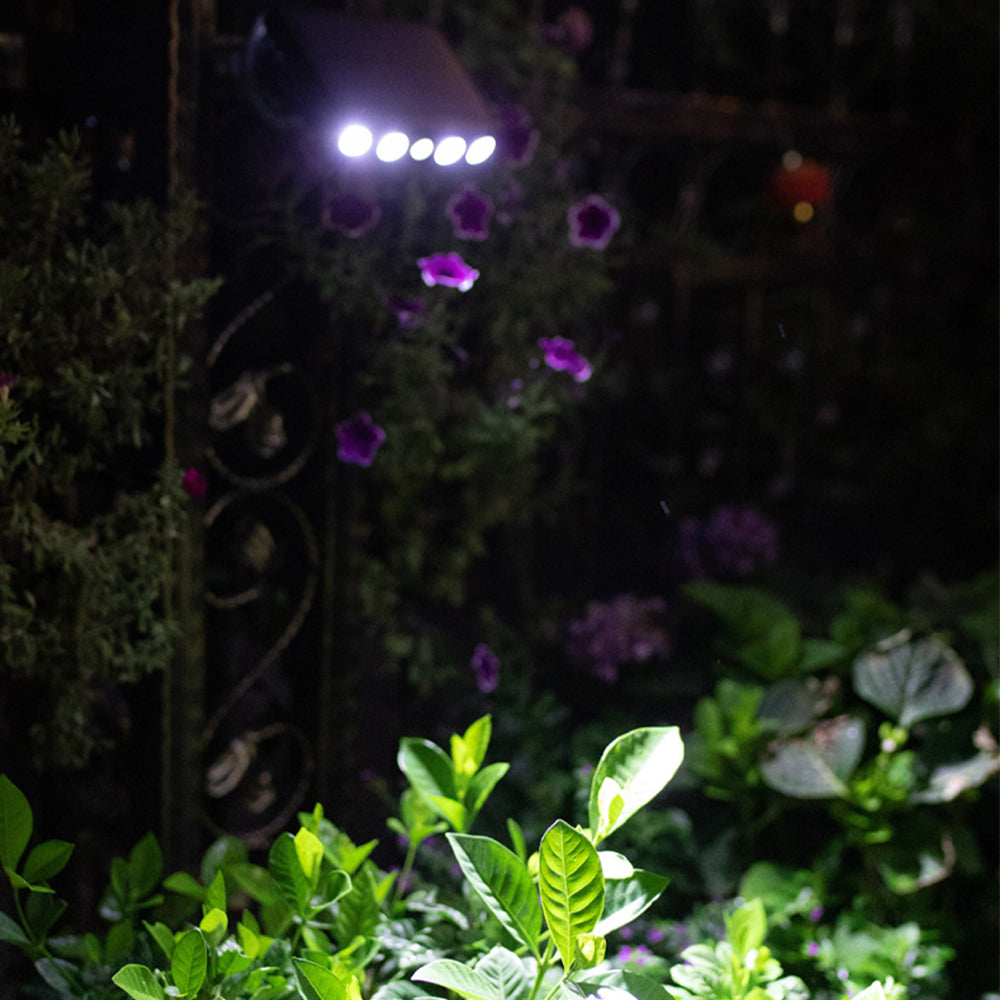 Motion Sensor Solar Powered Lights White Light